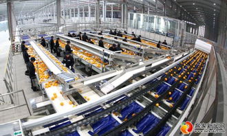 農(nóng)夫山泉信豐工廠竣工投產(chǎn)，打造技術驅動新標桿，預計年銷售額達4.5億元