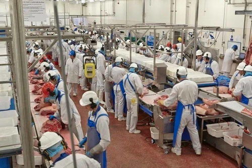 英國食品廠再現疫情，科學防護下肉類仍可安全食用
